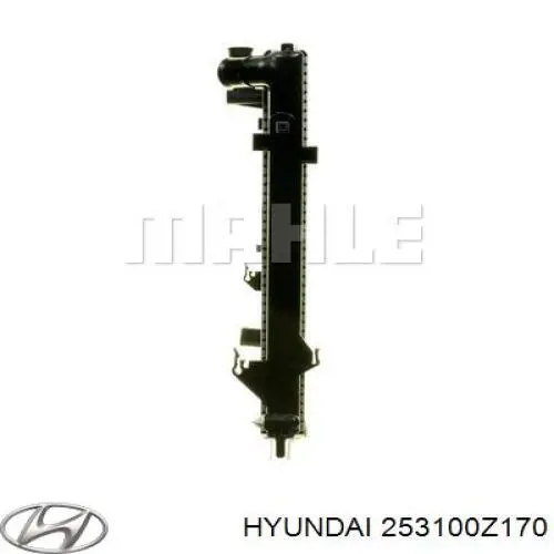 Radiador de água Hyundai/Kia 253100Z150