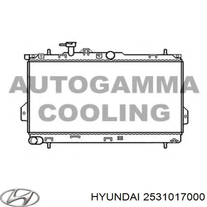 Água radiador Hyundai/Kia 2531017000 precio, desde 98,74 EUR