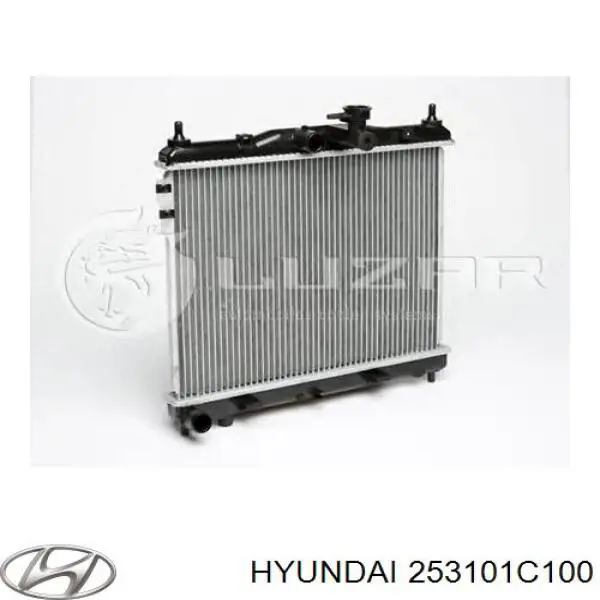 253101C100 Hyundai/Kia radiador