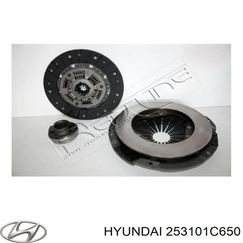 253101C650 Hyundai/Kia