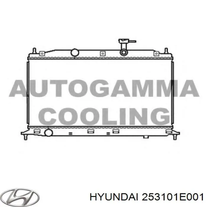 Água radiador Hyundai/Kia 253101E001 precio, desde 73,48 EUR