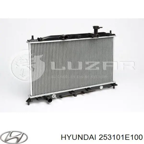 253101E100 Hyundai/Kia radiador