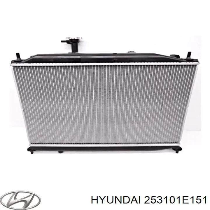 Água radiador Hyundai/Kia 253101E151 precio, desde 112,06 EUR