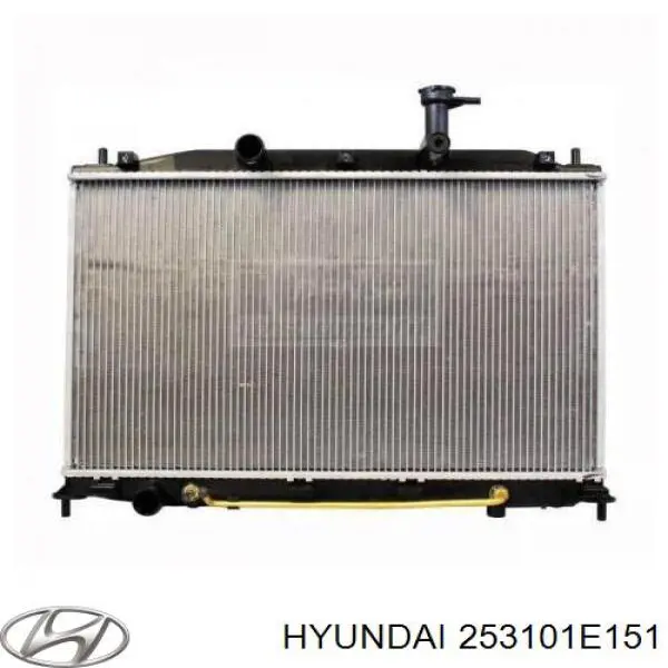 253101E151 Hyundai/Kia