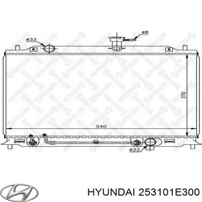 Água radiador Hyundai/Kia 253101E300 precio, desde 90,31 EUR