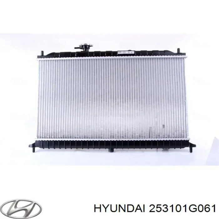 253101G060 Hyundai/Kia radiador refrigeración del motor