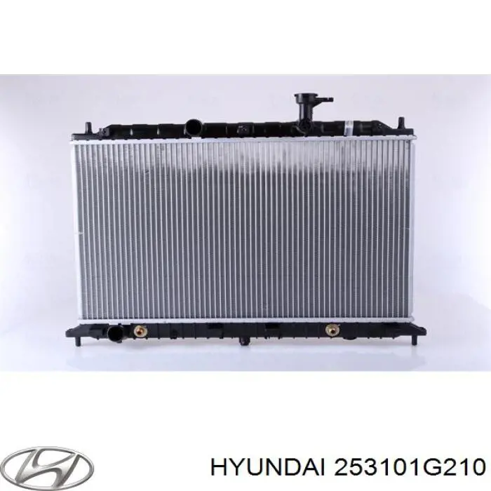 253101G210 Hyundai/Kia radiador