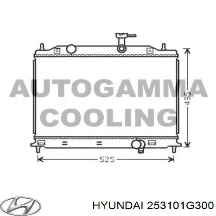 253101G300 Hyundai/Kia radiador