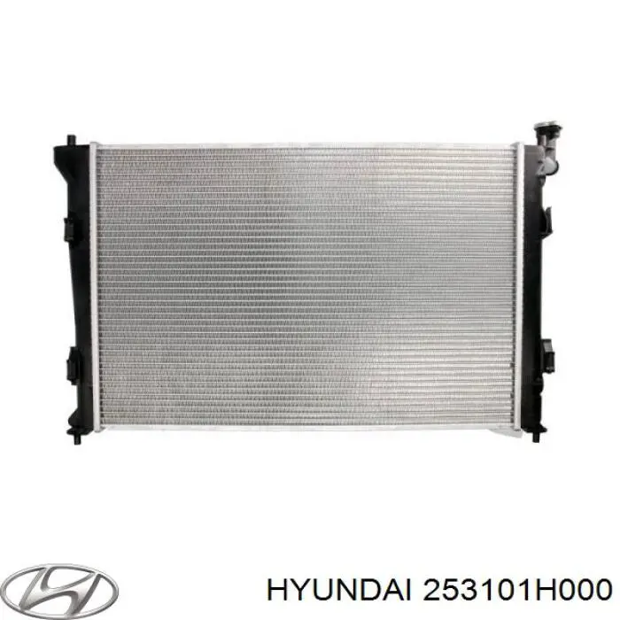 Água radiador Hyundai/Kia 253101H000 precio, desde 70,24 EUR