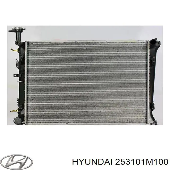 Água radiador Hyundai/Kia 253101M100 precio, desde 109,44 EUR