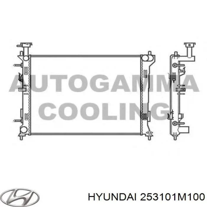 253101M100 Hyundai/Kia radiador refrigeración del motor