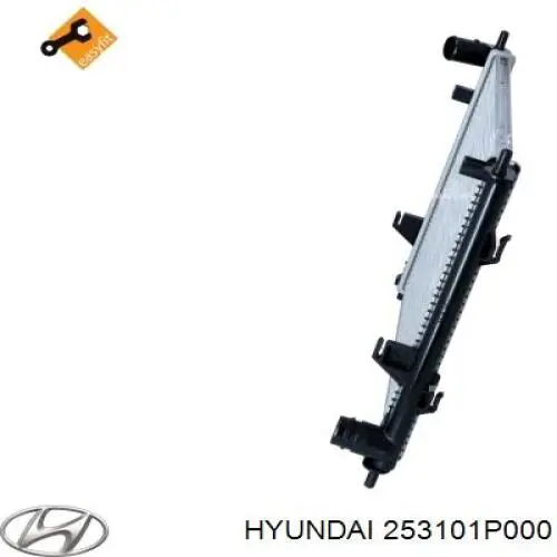 Água radiador Hyundai/Kia 253101P000 precio, desde 90,13 EUR
