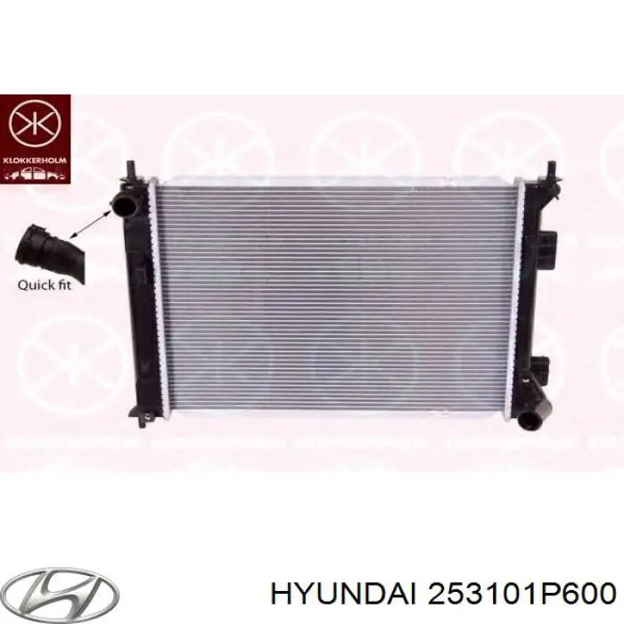 253101P600 Hyundai/Kia