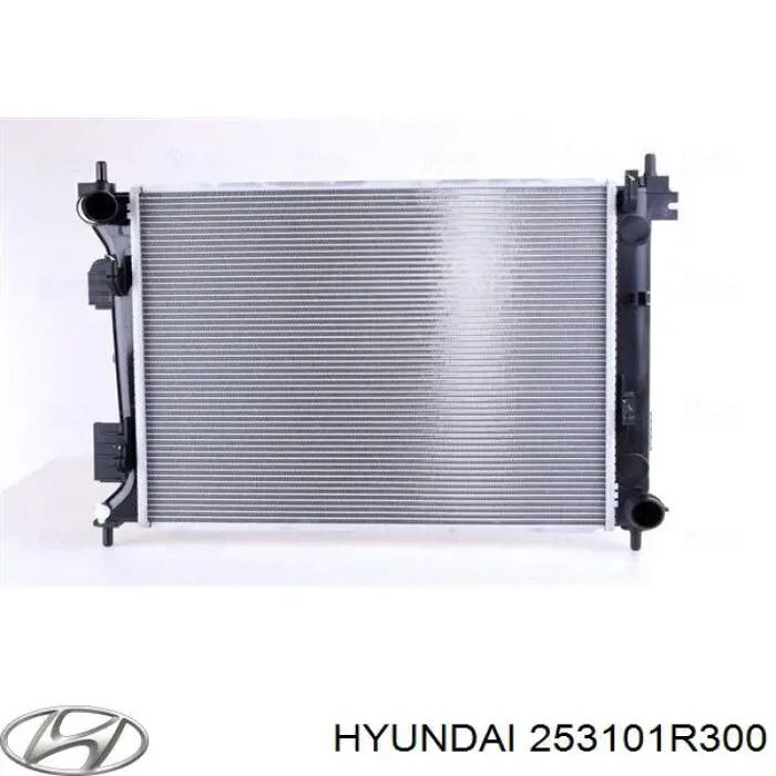 Água radiador Hyundai/Kia 253101R300 precio, desde 92,39 EUR