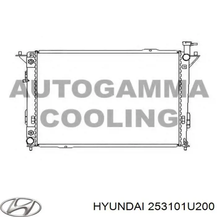 Água radiador Hyundai/Kia 253101U200 precio, desde 97,07 EUR