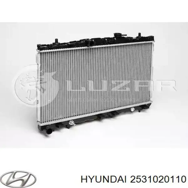 2531020110 Hyundai/Kia