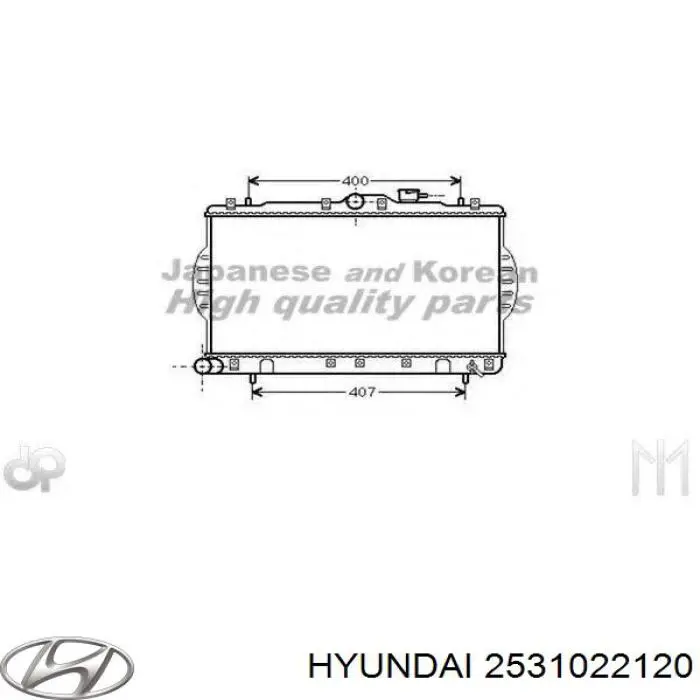 2531022120 China radiador refrigeración del motor