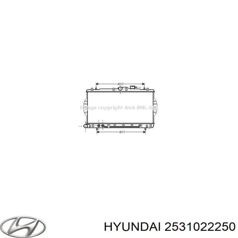 2531022250 Hyundai/Kia radiador