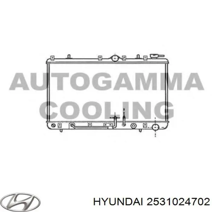 2531024702 Hyundai/Kia radiador