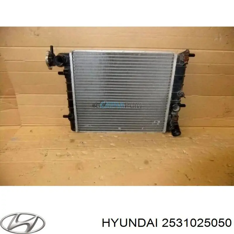 2531025050 Hyundai/Kia radiador