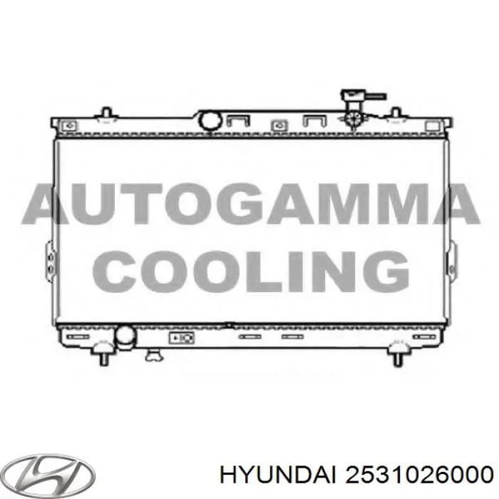 2531026000 Hyundai/Kia radiador refrigeración del motor