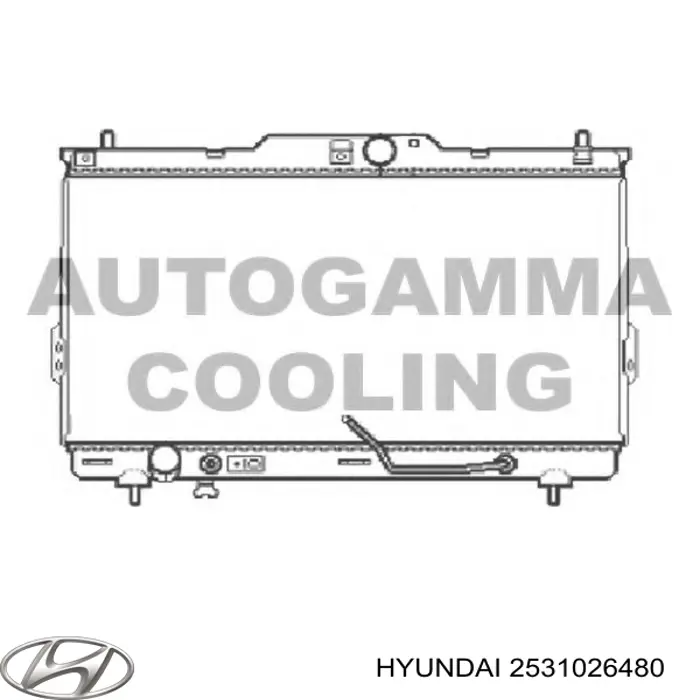 ADG09876 Blue Print radiador refrigeración del motor