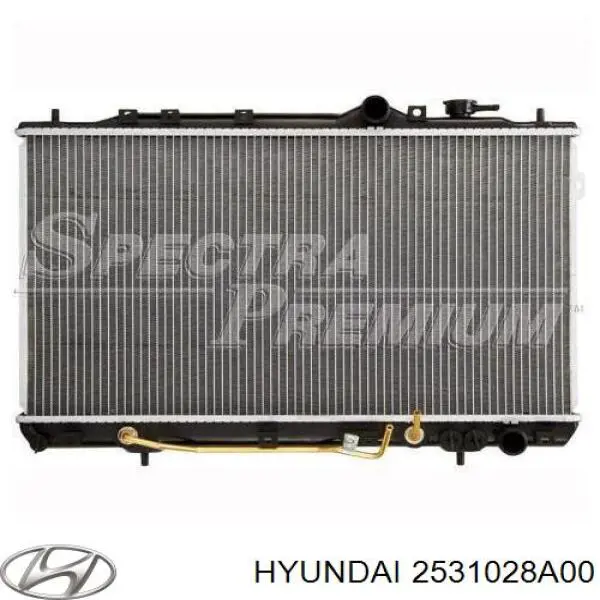 2531028A00 Hyundai/Kia radiador