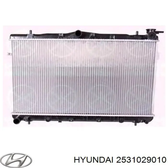 2531029010 Hyundai/Kia radiador refrigeración del motor