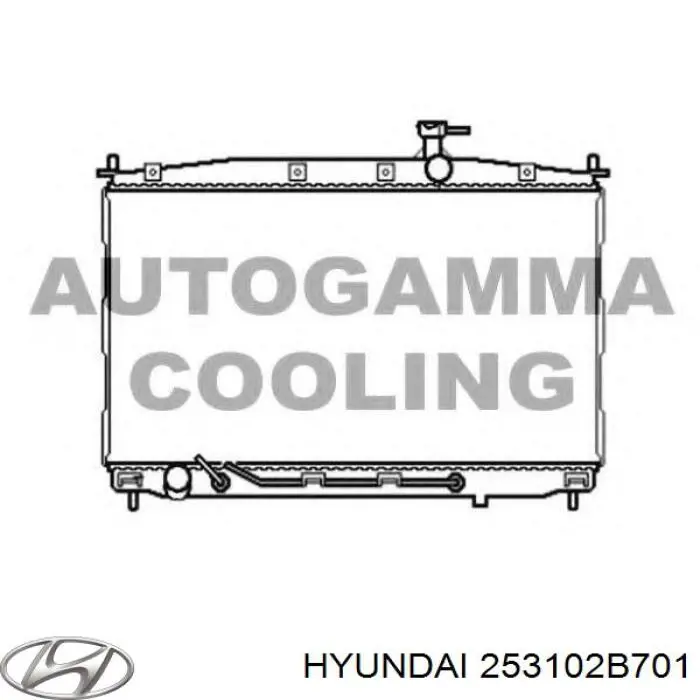 Radiador de água Hyundai/Kia 253102B701