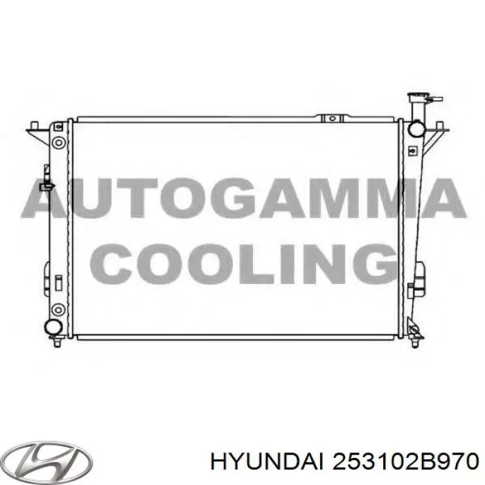 253102B970 Hyundai/Kia radiador