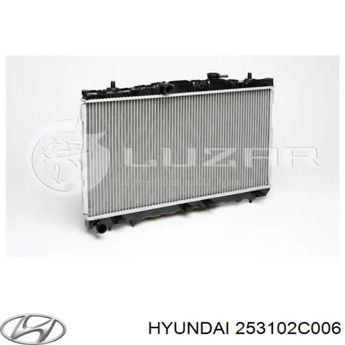 253102C006 Hyundai/Kia radiador refrigeración del motor