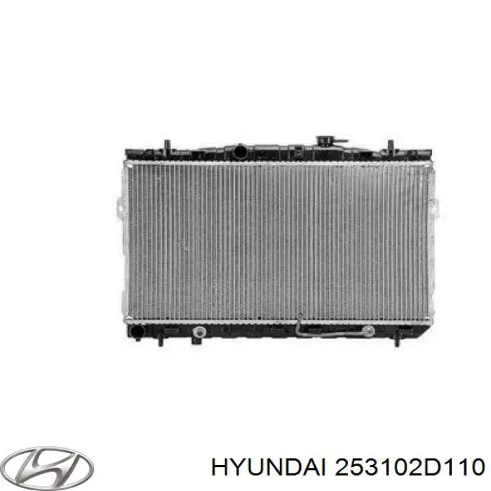 253102D110 Hyundai/Kia radiador