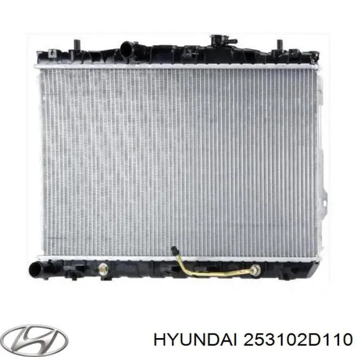 Água radiador Hyundai/Kia 253102D110 precio, desde 99,10 EUR