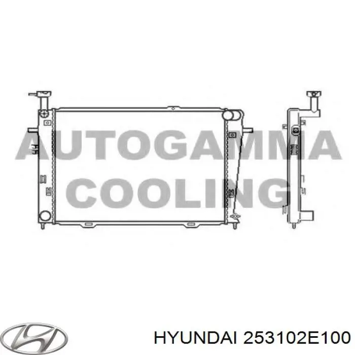 Água radiador Hyundai/Kia 253102E100 precio, desde 100,78 EUR