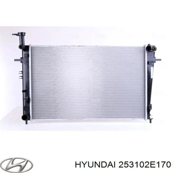 253102E170 Hyundai/Kia radiador