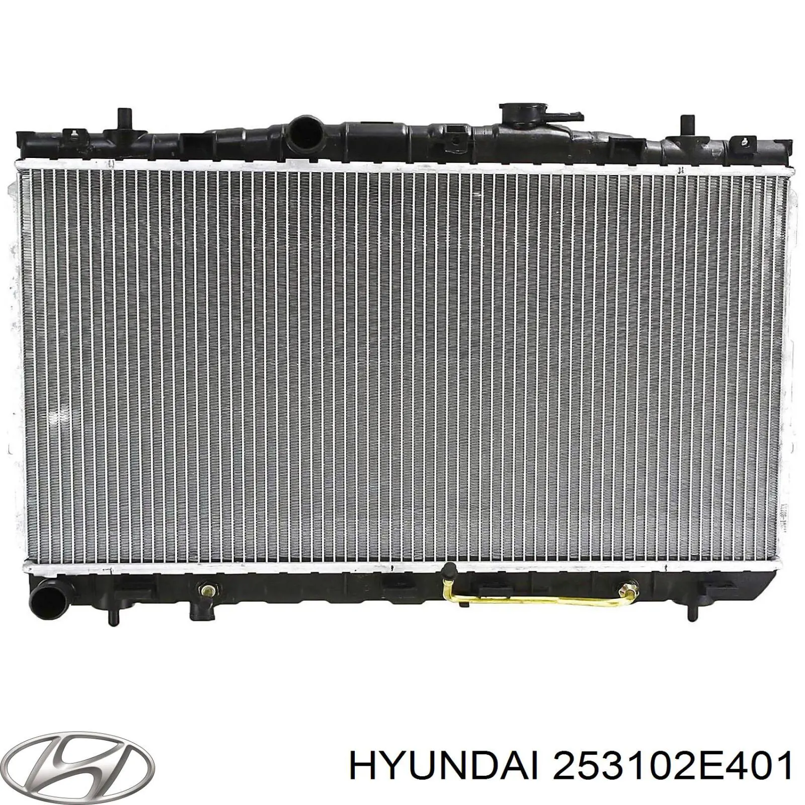 Água radiador Hyundai/Kia 253102E401 precio, desde 102,99 EUR