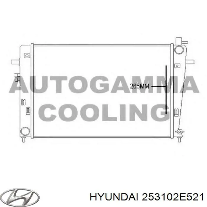 Radiador 253102E521 Hyundai/Kia