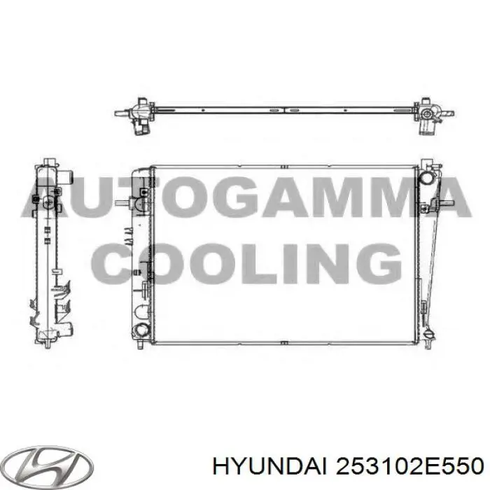 253102E550 Hyundai/Kia radiador
