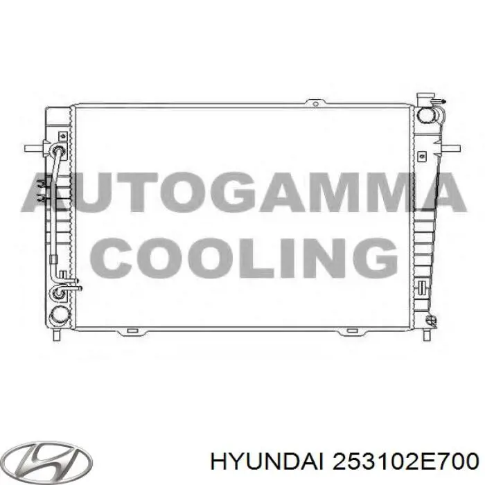 253102E700 Hyundai/Kia Refrigeración del motor