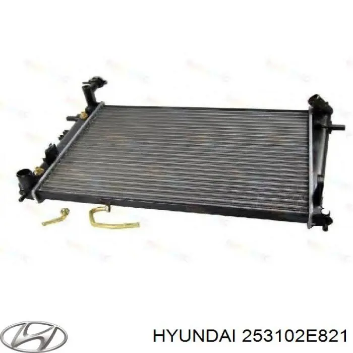 Água radiador Hyundai/Kia 253102E821 precio, desde 102,99 EUR