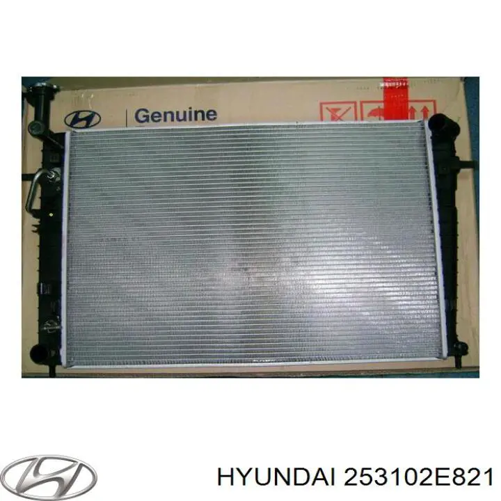 253102E821 Hyundai/Kia radiador