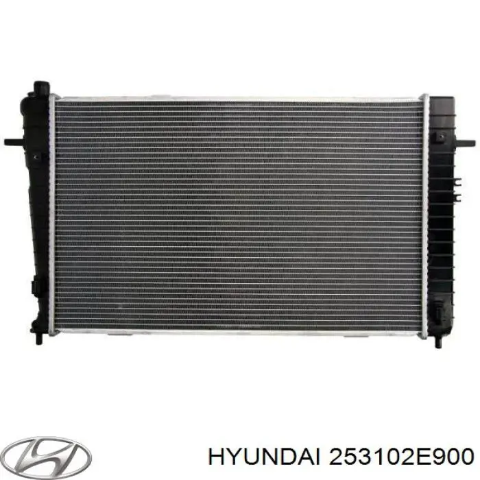 Água radiador Hyundai/Kia 253102E900 precio, desde 105,75 EUR