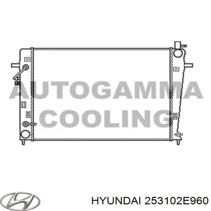 Água radiador Hyundai/Kia 253102E960 precio, desde 105,88 EUR