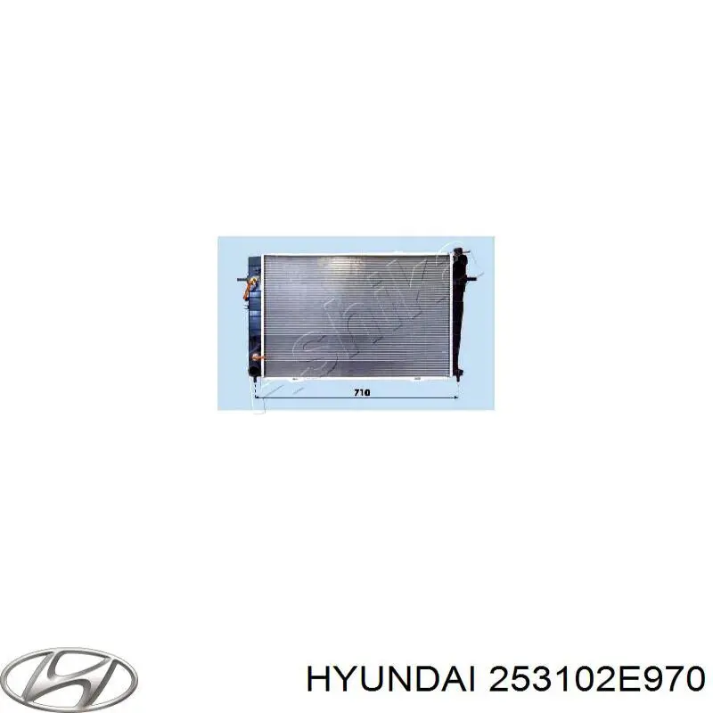 Comprar 253102E960 Hyundai/Kia Radiador de auto