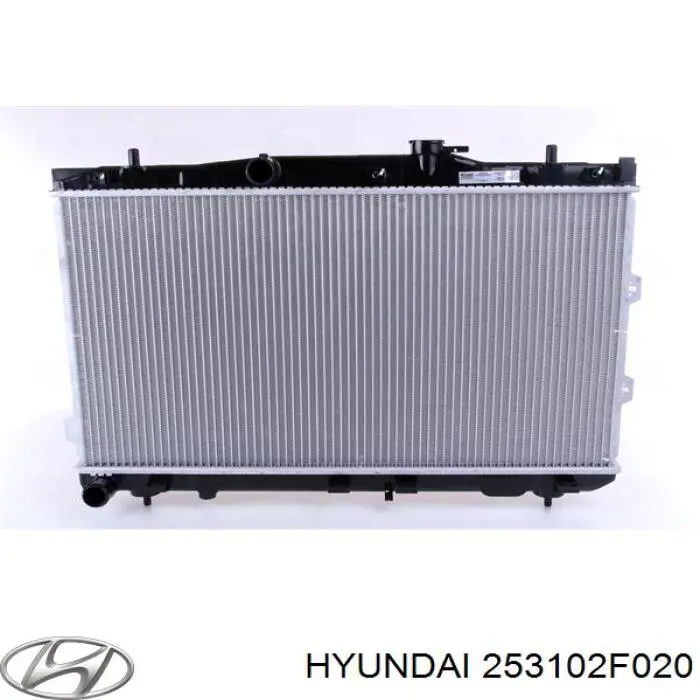 253102F020 Hyundai/Kia