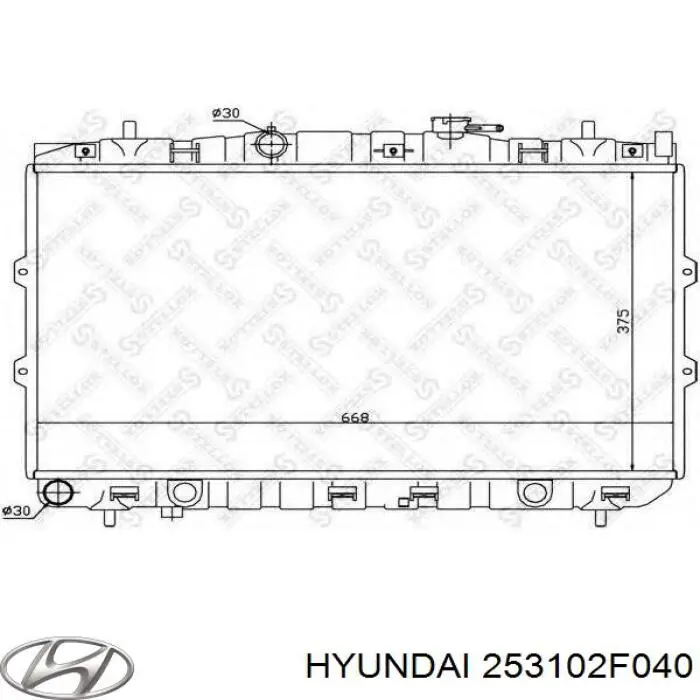 253102F040 Hyundai/Kia radiador