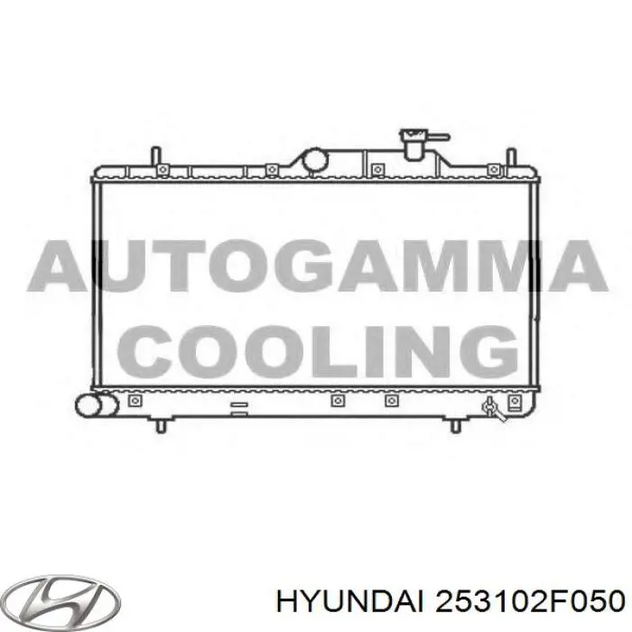 Água radiador Hyundai/Kia 253102F050 precio, desde 165,79 EUR