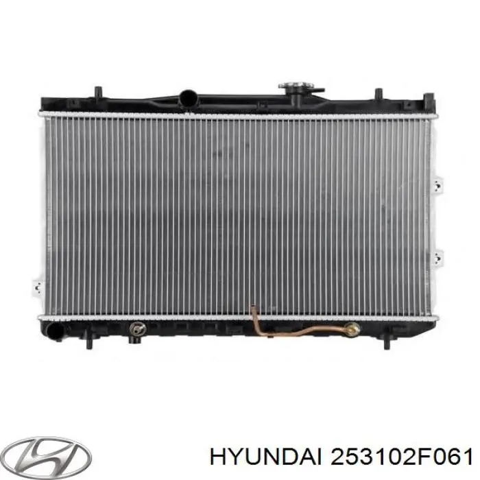 Comprar 253102F061 Hyundai/Kia Radiador de auto