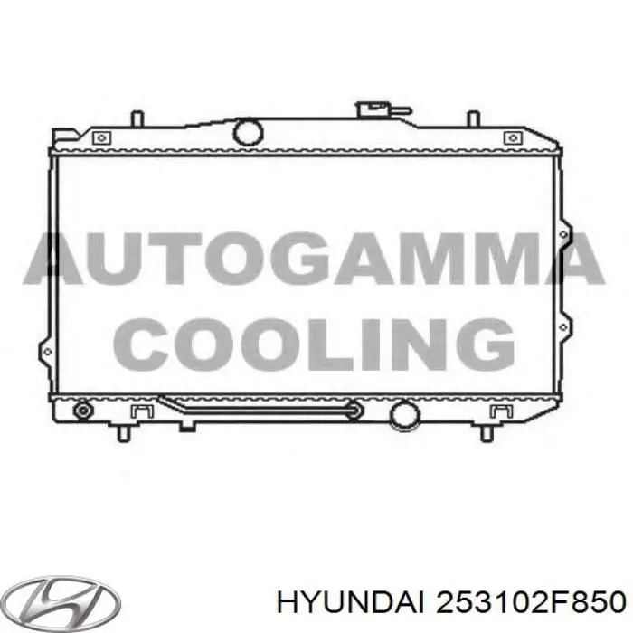 253102F900 Hyundai/Kia Refrigeración del motor