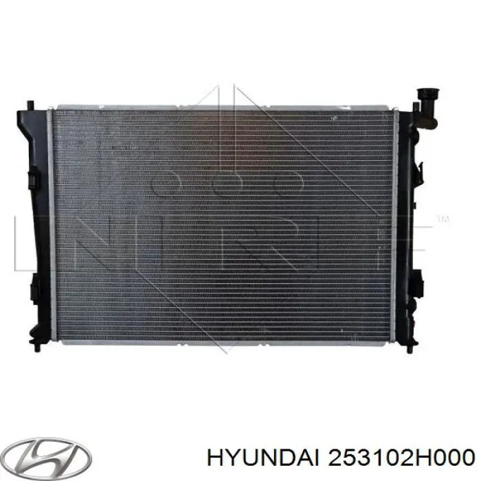 Água radiador Hyundai/Kia 253102H000 precio, desde 87,85 EUR